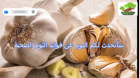 لماذا لا يجب التخلص من الثوم I The benefits of garlic I why you should not get rid of garlic