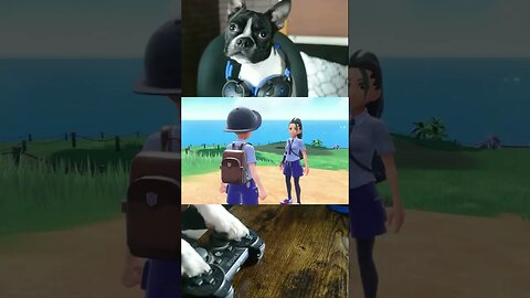 Pokémon Scarlet & Violet - Cannoli the Dog Playthrough Tips and Tricks #pokemon #fyp #fypシ #memes