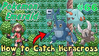 How to Catch Heracross! Pokémon Emerald Walkthrough - Part 66