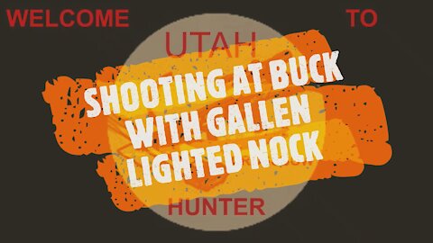 SHOOTING AT BUCK WITH GALLEN LIGHTED NOCK