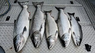 The BEST Salmon Fishing Tactic EVER!! (GUARANTEED RESULTS)