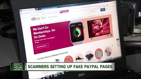 Scammers setting up fake Paypal pages