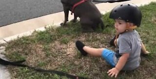 Lille dreng slutter sig til hundene, når han hører "sæt dig"