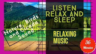 Relaxing Music | Nature Ambience | Birds Sound and Cicada