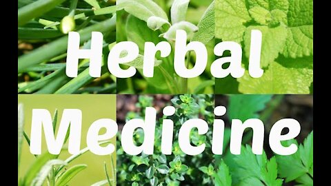 Herbal medicines for every problem