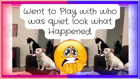 😱 Went to Play With who was Quiet | Look What Happened