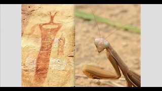Ancient Mantis Being Discovered, This will blow your mind