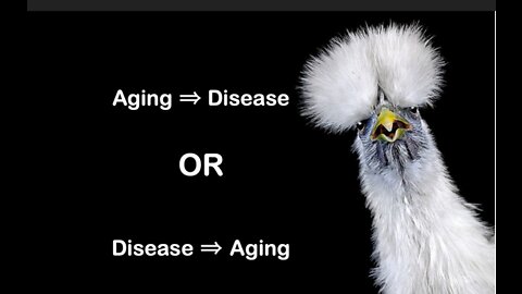 IST Health Tip of the Day! Is Aging a Disease?