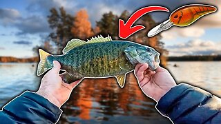 Straight Up Cold Water Crankbait Fishing!