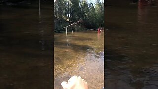 Canoeing on the Manistee