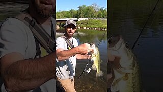 Creek bass fishing with the YUM DINGER!