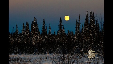 Goldstream Valley, Alaska. Moon Rise