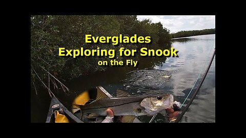 2021 02 FL Everglades Exploring for Snook on the Fly