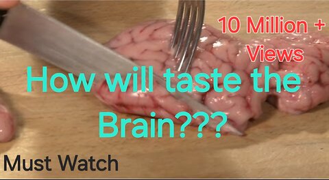 Raw Brain Taste Test By Marwa Arafat(must watch)