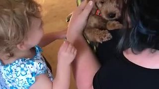 This Toddler Can't Control Her Emotions After Meeting New Puppy