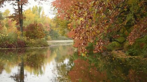 Beautiful and relaxing river sounds for sleep, study, meditation