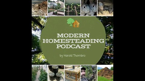 Making The Homesteading Dream Happen With Guest Anna Sakawsky - Modern Homesteading Podcast