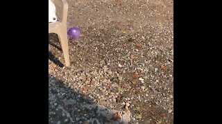Water balloon FAIL!!