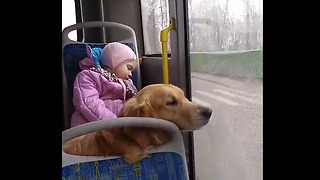 Little Girl Naps With Her Doggy During Bus Ride