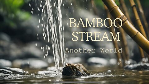 Bamboo Stream | Quiet tranquil trickling water for relaxation