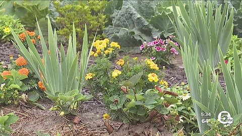 Grafton Correctional Institution garden grows to help feed community