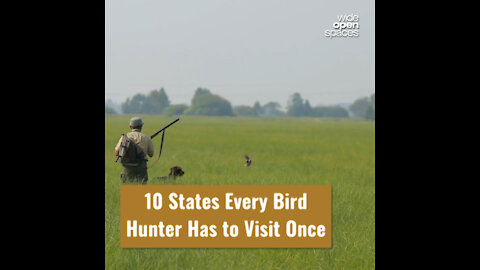 10 States Every Bird Hunter Has to Visit Once