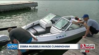 Cunningham Lake closing to boaters