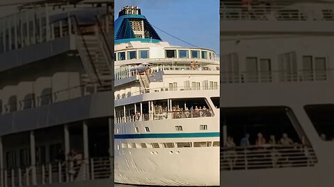Gigantic cruise Old Port #viralvideo #montreal #travel