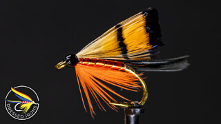 Tying The Golden Pheasant - Dressed Irons