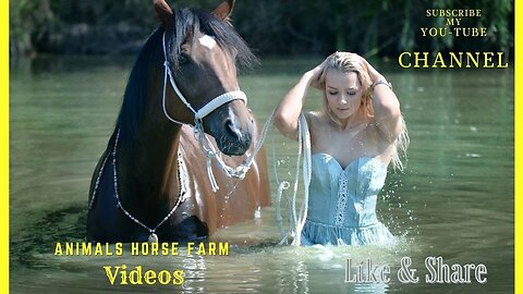 Beautiful Horse Video in the World | Animals Horse Video | Horse Dance |