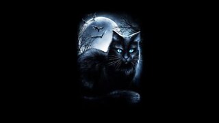 O Gato preto e seus olhos#animações#