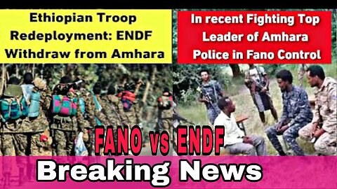 Top Leader of Amhara Police in Fano Control: ENDF Withdraw from Amhara?