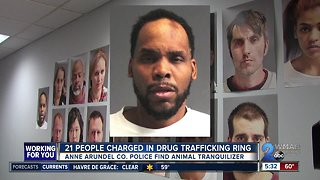 Kingpin and drug trafficking ring busted in Anne Arundel County