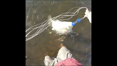 cast netting in the river