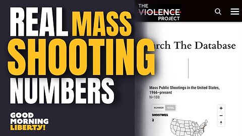 The REAL Mass Shooting Stats Are SHOCKING (CLIP)
