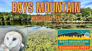 Views, Trails, Turtles, Wolves, Owls and more at Bays Mountain in Kingsport Tennessee!