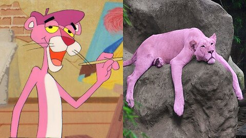 Pink Panther And Pals Characters In Real Life