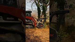 Making a Dead Tree into Dirt