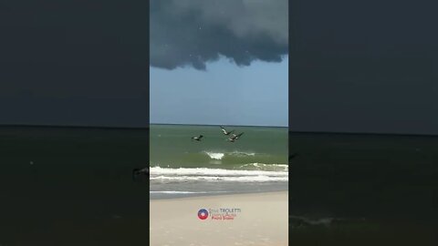 Pelicans flying above the waves on a weird cloudy storm day