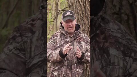 Knowing when to call in your next trophy buck #shorts #deer #deerhunting