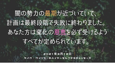 2021年3月12日Mike Quinseyのハイヤーセルフからのメッセージ