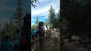 More trail building at Philmont Scout Ranch