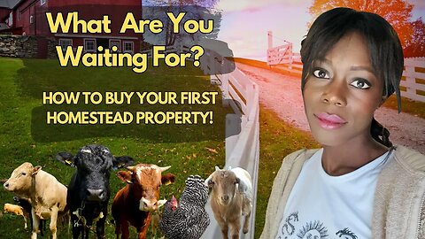 HOW TO BUY YOUR FIRST Homestead Property With NO MONEY!