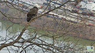 Hays Eagles Mom Watches Flyby 2023 01 24 853AM