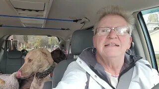 Roadtrip to Florida | Day One | Minivan Life with Dogs