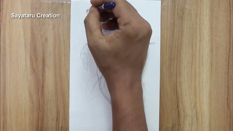 How to draw a hibiscus flower step by step pencil sketch