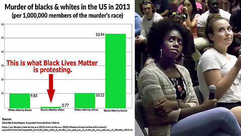 Verifiable Statistics on Black Crime & Police Killings contrast the Lies of Black Lives Matter ✊🏿🤥