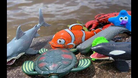 ¡Juguetes de animales marinos este verano en la costa!