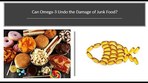 Omega 3 Protects Your Brain From Junk Food
