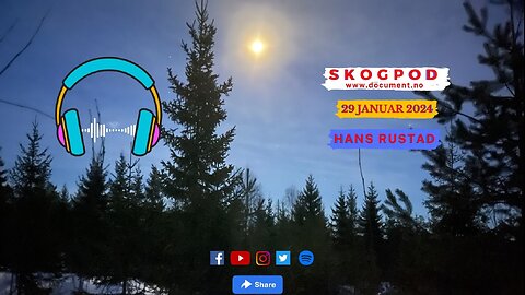 Skogpod 29. Januar 2024